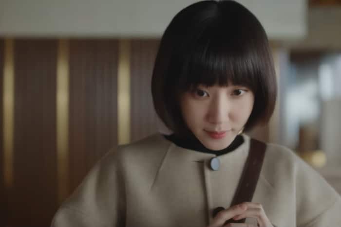 Extraordinary Attorney Woo