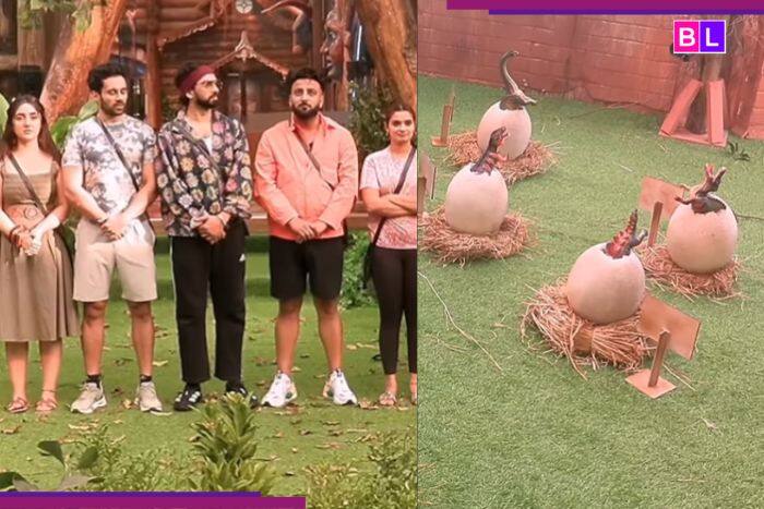 Bigg Boss 19: Task Cancelled After Contestant Fight