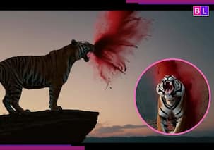 जंगलों की देवी की दहाड़ से थर्राया इंटरनेट! धमाकेदार Dusshera का टीजर रिलीज, VFX में 'कांतारा' को दे रहा कड़ी टक्कर?