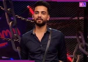 Bigg Boss 19 में किसके अंदर है सबसे ज्यादा 'जहर'? Elvish Yadav ने करवाया 'जहरीला टास्क', अशनूर के लिए कह दी बड़ी बात