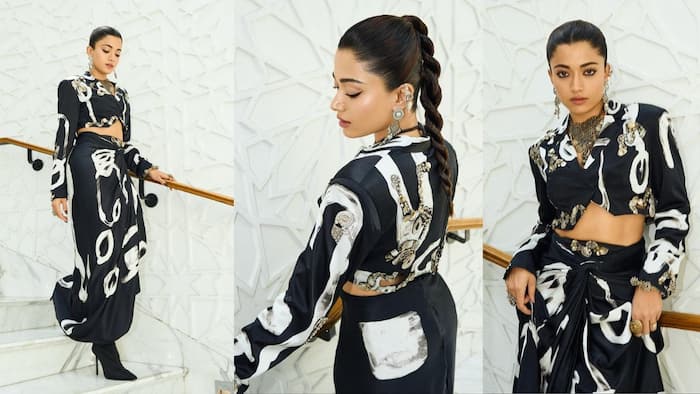 Animal – Her First ₹500 Crore Blockbuster