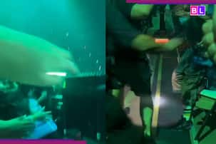 Billie Eilish Shocking Miami Concert: Singer violently pulled into crowd by..., security tries to... [Viral video]