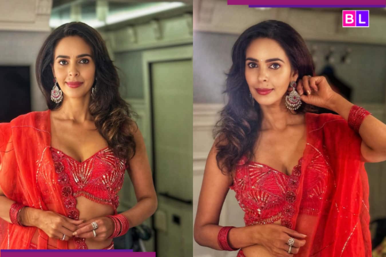 Mallika Sherawat turns 49: Actress REVEALS her vegan diet secrets, avoids roti, paneer and...