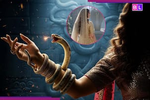 दिवाली पर निकलेगा दुश्मनों का दिवाला? इस दिन जहर उगलने निकलेगी TV की नागिन, Ekta Kapoor के शो को लेकर आए 7 बड़े अपडेट