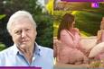 Daytime Emmys 2025 Full Winners List: David Attenborough honoured for..., General Hospital wins...