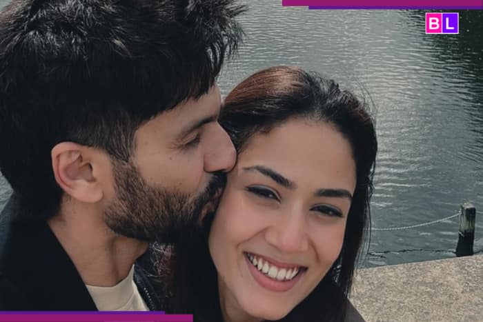 Shahid Kapoor and Mira Rajput’s 8 VIRAL, ICONIC photographs that scream…