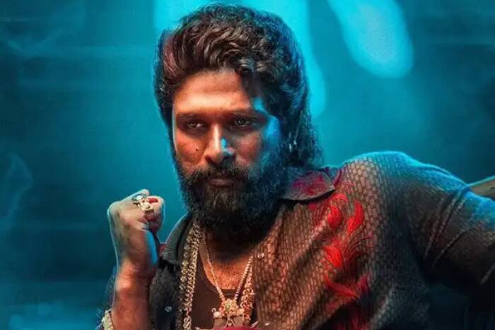 entertainment Pushpa 2