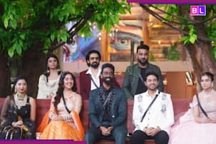 Bigg Boss 19 Finale Week: Cricketers to comedians, voting war HEATS UP as celeb communities rally behind their favourites