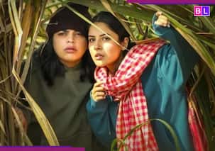 Ikk Kudi Box Office Collection Day 18: Shehnaaz Gill’s film witnesses MASSIVE dip, earns Rs…