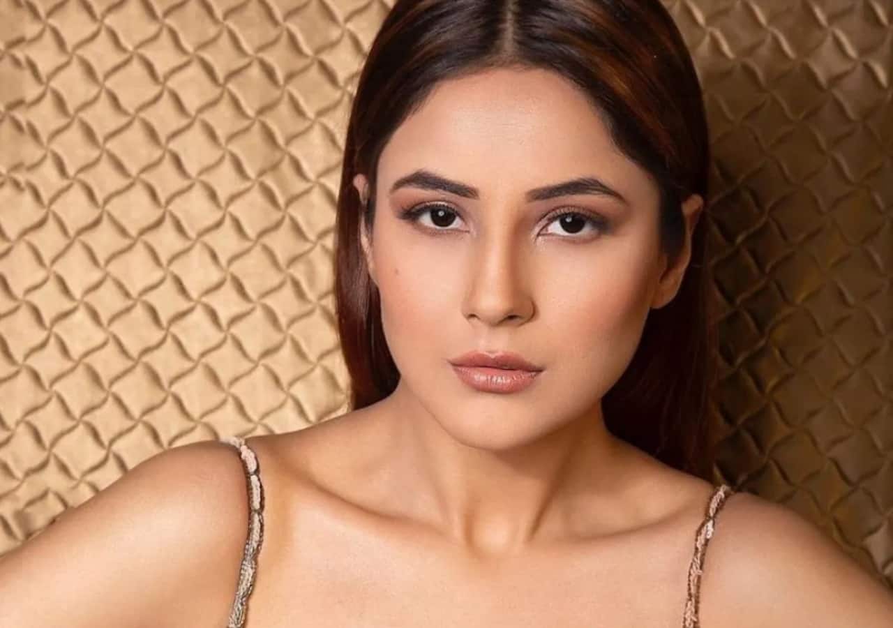 bollywoodlife.com photo