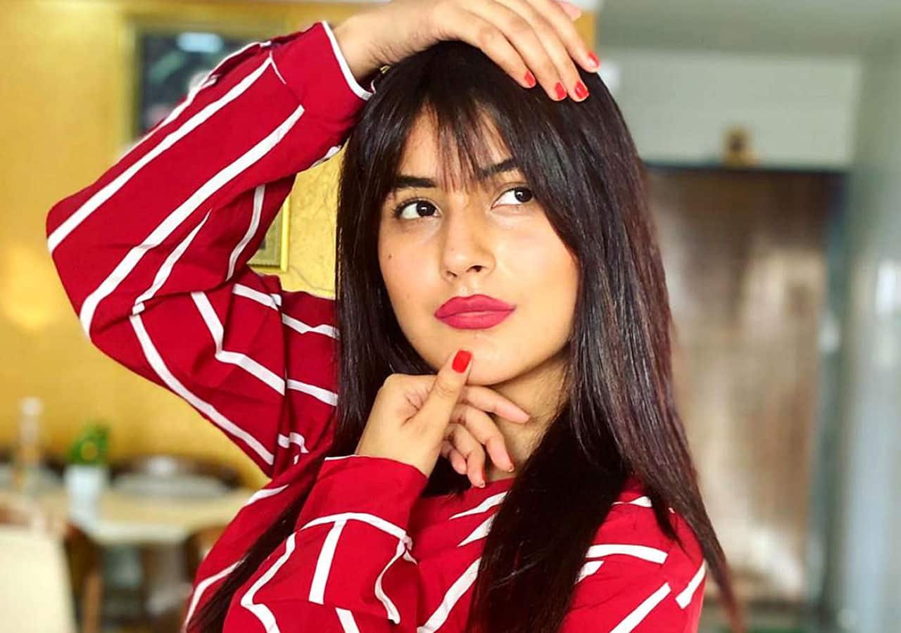 bollywoodlife.com photo