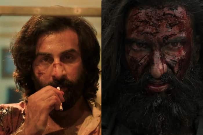 Dhurandhar vs Animal box office collection