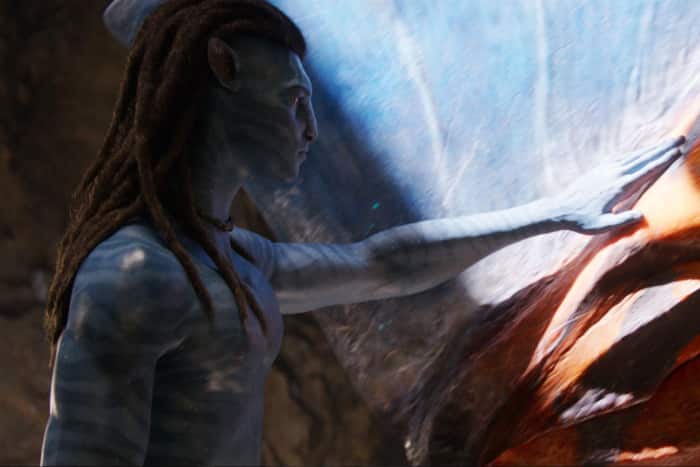 Avatar: Fire and Ash Box Office Collection