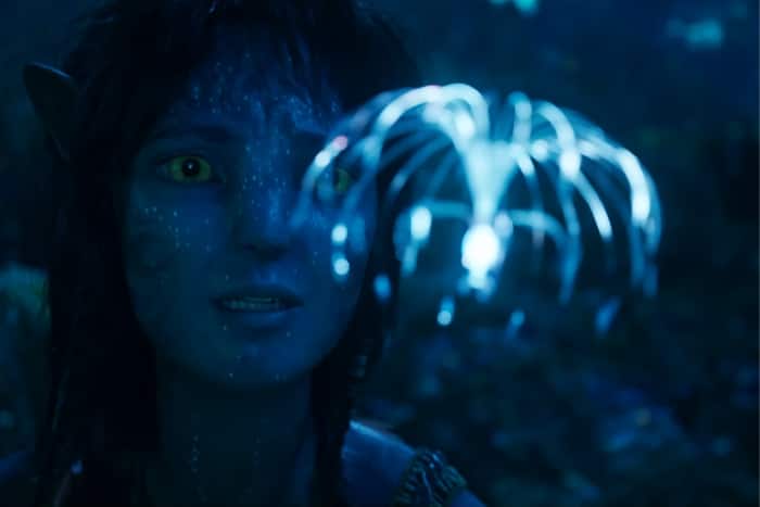 Why do all Avatar movies release in December?