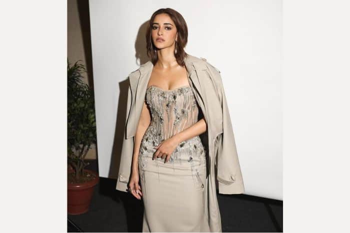 अनन्या की तस्वीरों ने बढ़ाया इंटरनेट का पारा