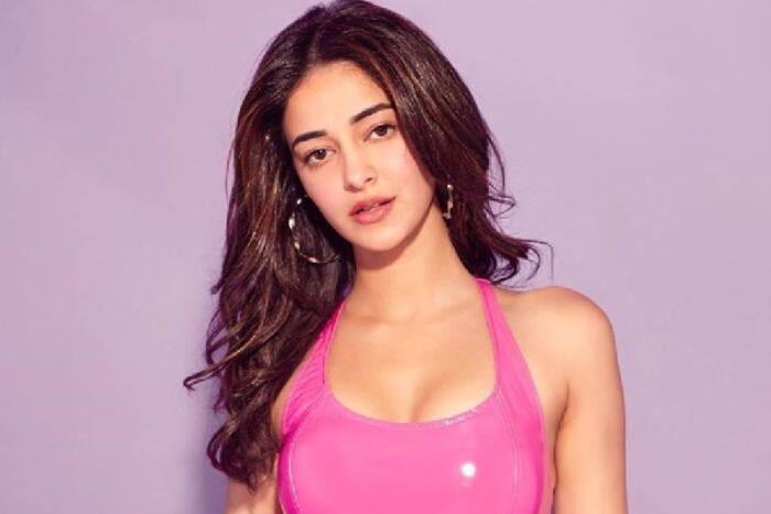 अनन्या ने कहां से की थी स्कूलिंग?