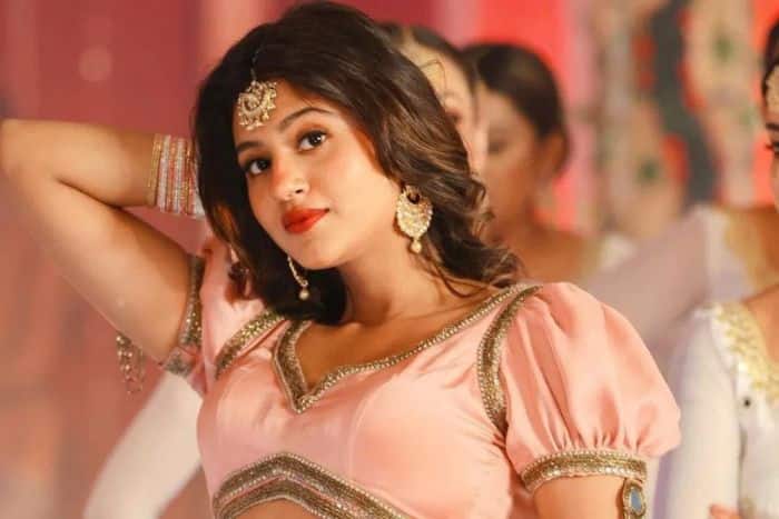 What did Anjali Arora say on Payal Gaming  viral video controversy?