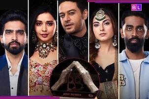 Bigg Boss 19: इतनी सुनहरी है टॉप फाइनलिस्ट की 100 दिन की तूफानी जर्नी, देश के हर कोने में छोड़ी अपनी छाप, अब कौन ले जाएगा ट्रॉफी?