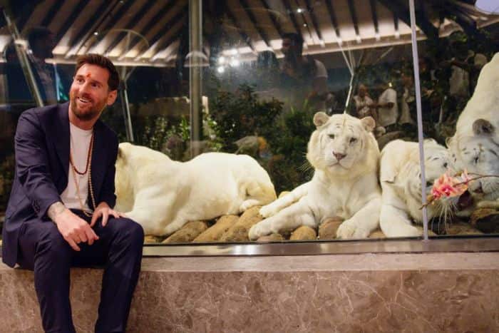 जानवरों के बीच बिताया यादगार वक्त