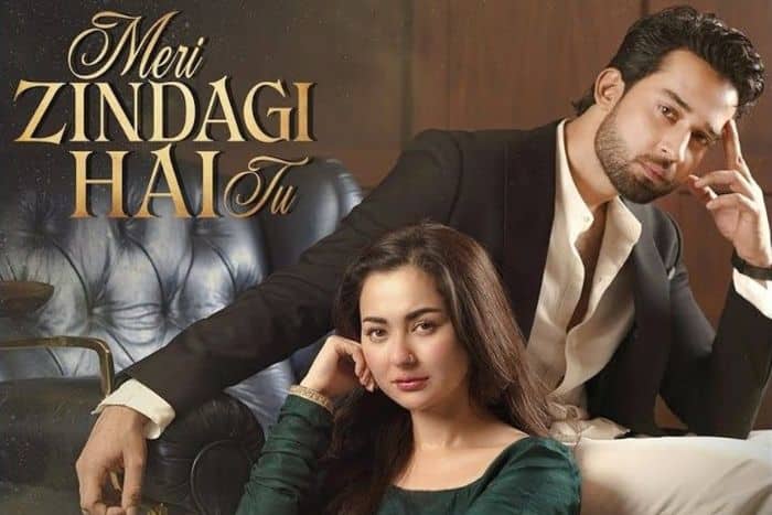 Where will Meri Zindagi Hai Tu stream in India?