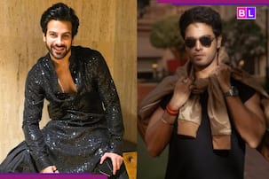 Bigg Boss 19: Is Gaurav Khanna the NEW Karan Veer Mehra of Salman Khan's show?