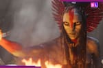 Loved Avatar Fire And Ash? These 4 James Cameron movies on OTT platforms JioHotstar, Amazon Prime Video are totally...