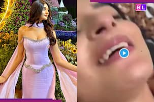 Payal Gaming Private Video: वीडियो के लिंक पर क्लिक करते ही उड़ जाएंगे होश, एक गलत कदम और पर्सनल...