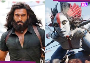 Dhurandhar Collection: Ranveer Singh की 'धुरंधर' के सामने निकली 'अवतार 3' की हवा, फिल्म ने की बंपर कमाई