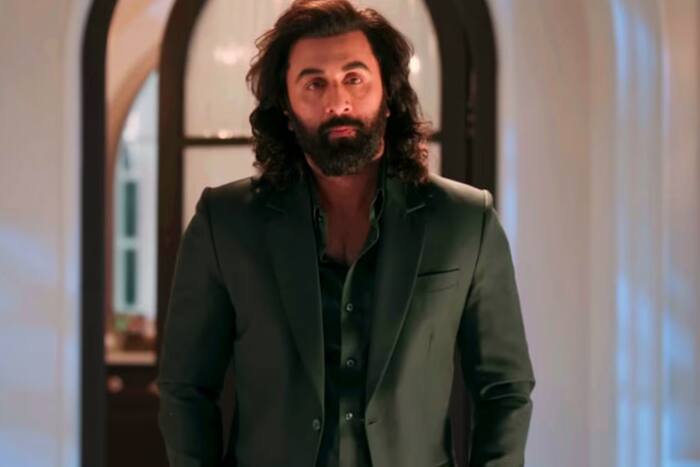 फिल्म 'एनिमल'