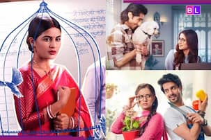 Year Ender: 2025 में सुपरफ्लॉप साबित हुए ये 8 TV शोज, मेकर्स को लगी करोड़ों की चपत; एक सीरियल तो 35 दिन में हुआ बंद