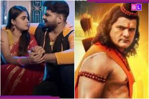 Year Ender 2025: इस साल सिनेमाघरों में इन भोजपुरी फिल्मों का रहा दबदबा, बॉक्स ऑफिस पर मच गया था तहलका