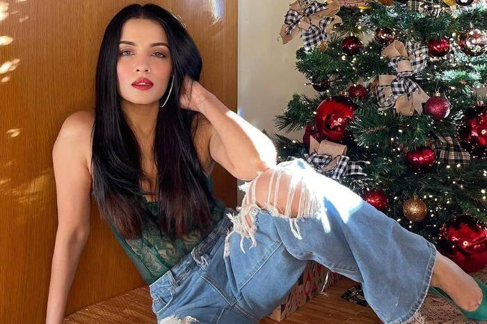 सेलिना जेटली ने किससे शादी की है?