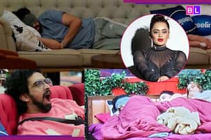 'एक गलती और बिग बॉस तबाह...' Bigg Boss 19 फिनाले से ठीक पहले Bebika Dhurve ने दी मेकर्स को चेतावनी Exclusive