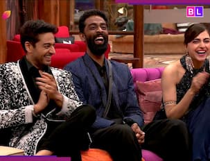 Bigg Boss 19: Did Wikipedia declare THIS finalist as WINNER? Fact-check inside