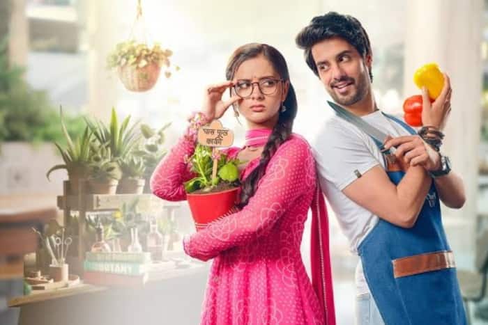 कभी नीम नीम कभी शहद शहद जल्द हुआ था बंद