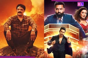 Year Ender 2025: 'द बैड्स ऑफ बाॅलीवुड' से लेकर 'पाताल लोक 2' तक, इस साल इन हिंदी वेब सीरीज का बजा डंका, IMDb ने जारी की लिस्ट