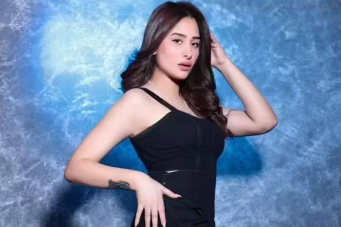 Naagin के किस सीजन में नजर आईं थी माहिरा?