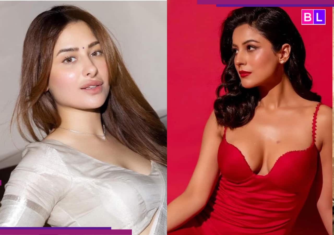 Why has Mahira Sharma’s birthday wish for Shehnaaz Gill gone viral? Bigg Boss rivals’ friendship is the plot twist we adore Why has Mahira Sharma’s birthday wish for Shehnaaz Gill gone viral? Bigg Boss rivals’ friendship is the plot twist we adore