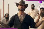O Romeo Cast Fees: फिल्म के बजट का बड़ा हिस्सा ले उड़े Shahid Kapoor! तृप्ति डिमरी से नाना पाटेकर तक, किसको मिली कितनी फीस?