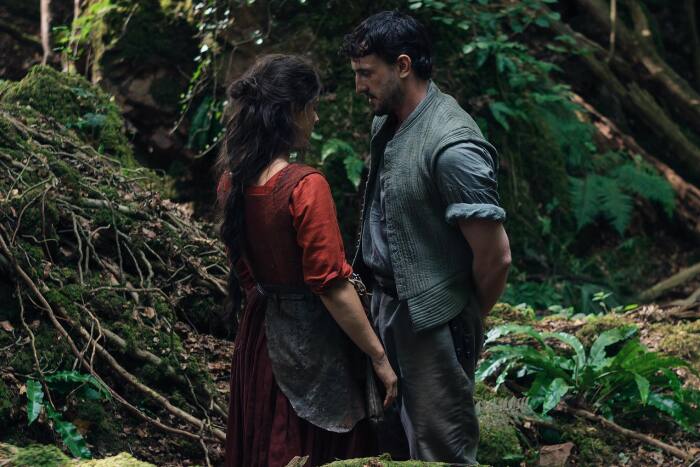 Hamnet (Third contender)