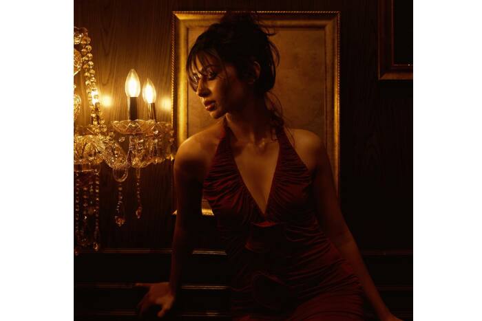 फिल्म 'धुरंधर' ने कमा लिए इतने रुपये