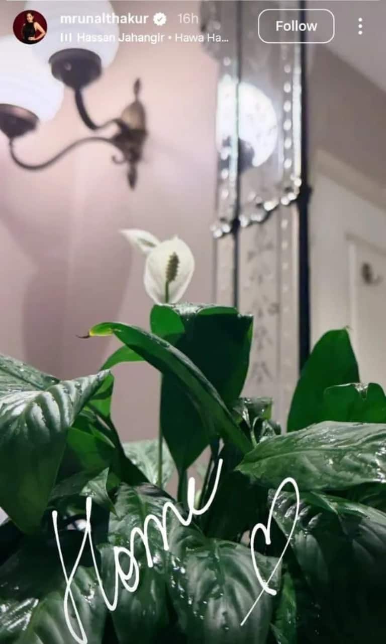 Mrunal Thakur BREAKS silence amid wedding rumours with Dhanush; shares first Instagram post that REVEALS…