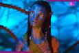 Avatar 3 Box Office Collection Day 13: 'धुरंधर' के सामने भी खड़ी है जेम्स कैमरून की फिल्म 'अवतार 3', जानें कितनी हुई कमाई