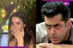 सुपरस्टार से सीधा ससुर बनेंगे Salman Khan... जानिए कौन है 'दबंग' के खानदान की होने वाली बहूरानी? आर्यन खान से रखती है नाता