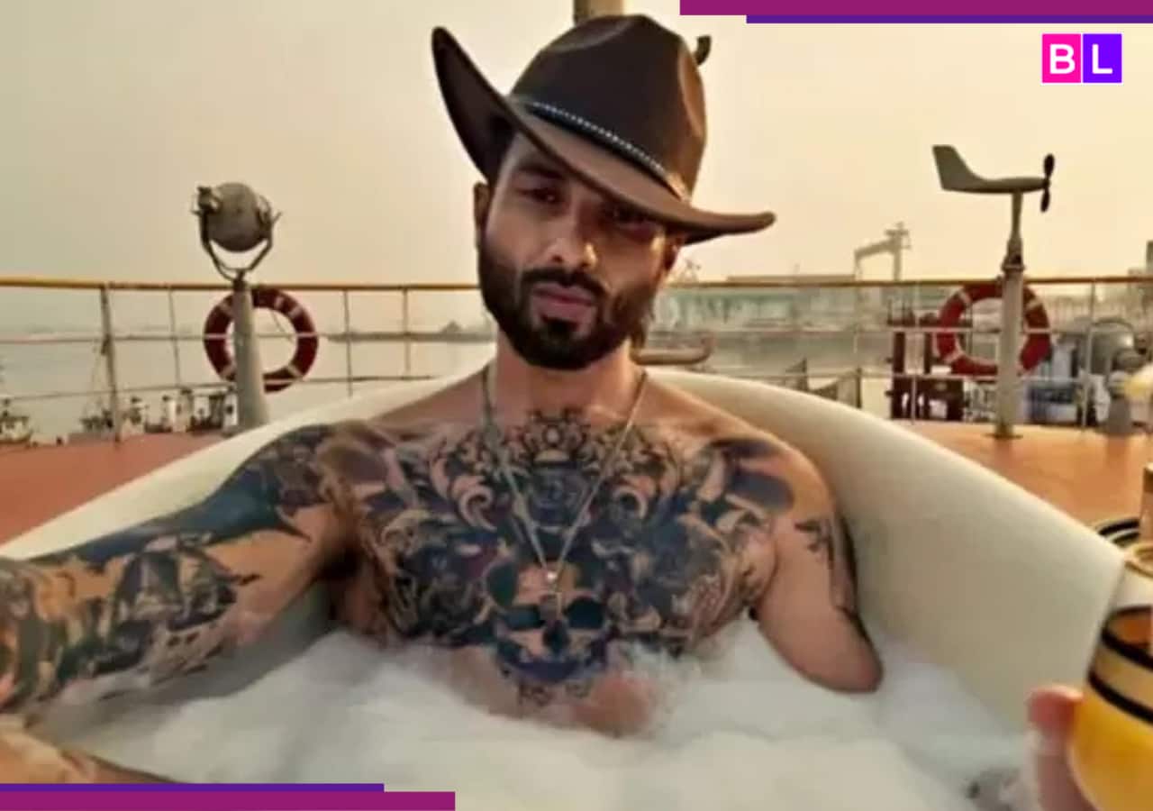 Shahid Kapoor-Triptii Dimri film is getuige van groei, verdient Rs…; Hij kan niet kloppen…