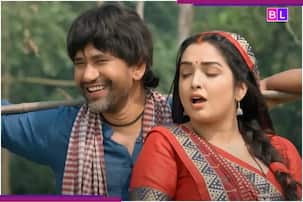 भोजपुरी गाने ने हिला दिया इंटरनेट! निरहुआ और आम्रपाली के 'मरून कलर सड़िया' ने बनाया रिकॉर्ड, Youtube पर मिले 313 मिलियन व्यूज