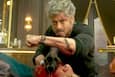bollywoodlife.com photo