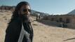 Dhurandhar 2 box office collection day 48: Amid Raja Shivaji's release, Ranveer Singh-starrer earns over Rs 1790 crore worldwide