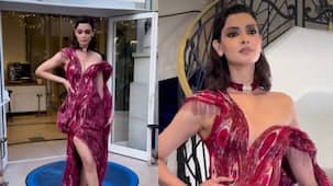 Cannes 2026: थाई-हाई स्लिट ड्रेस में डायना पेंटी ने रेड कार्पेट पर लगाई आग, फायरी रेड लुक में देख फैंस ने की 'केंडल जेनर' से तुलना