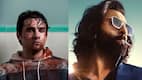 Animal to Obsession: Why audiences are loving emotionally UNSTABLE heroes?